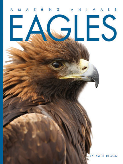 Title details for Eagles by Kate Riggs - Available